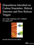 Doxorubicin Adsorbed on Carbon Nanotubes: Helical Structure and New Release Trigger