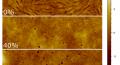 Morphological characterization of various PDINO, TiOx, and PDINO:TiOx blend films
