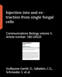images/publications/Injection_into_and_extraction_from_single_fungal_cells.png