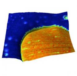 images/applications/3d_topography_log_stiffness__overlay.jpg