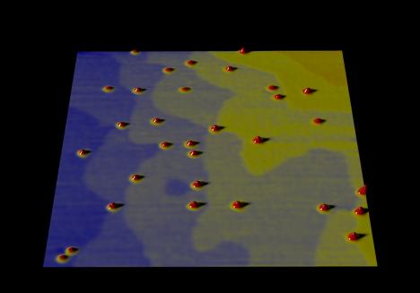 Quantum dots on potassium bromide (KBr) imaged in dynamic force mode