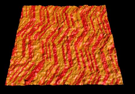 Magnetic tape imaged in magnetic force microscopy (MFM) mode