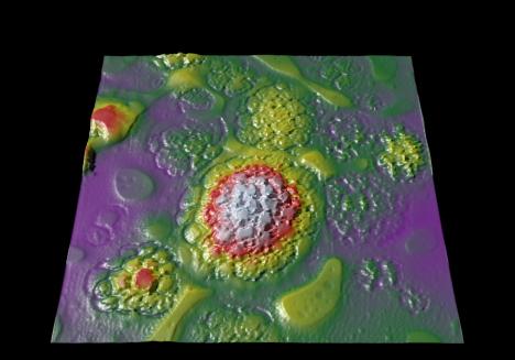 SBRS-PMMA polymer blend imaged in force modulation mode