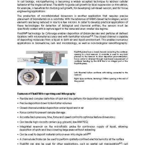 Single Cell Force Spectroscopy