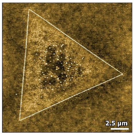 Topography of MoS2 monolayer