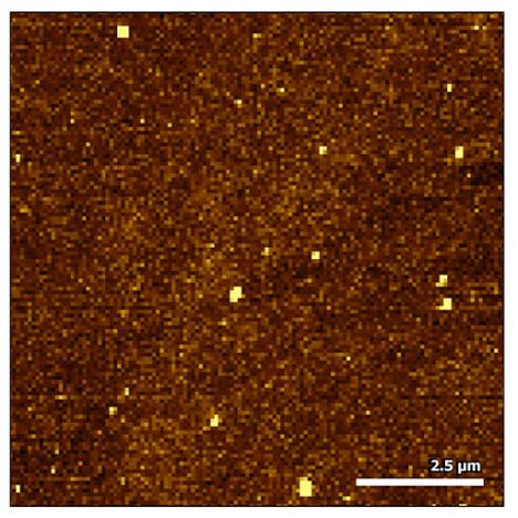 Topography of locally deposited charges on an insulating oxide surface