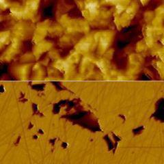 Contact mode AFM of polished ceramic plate used in dentistry