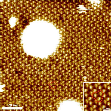 Trimeric arrangement of bacteriorhodopsin (BR) proteins and substructures