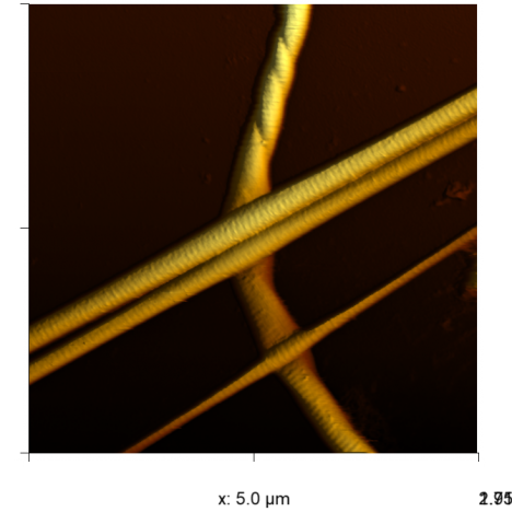 WaveMode image of mouse tail collagen