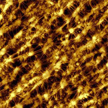 Topography analysis of ePTFE membrane using AFM