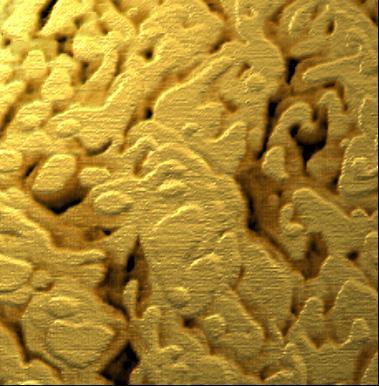 STM Study of Evaporated Au (111) Thin Film