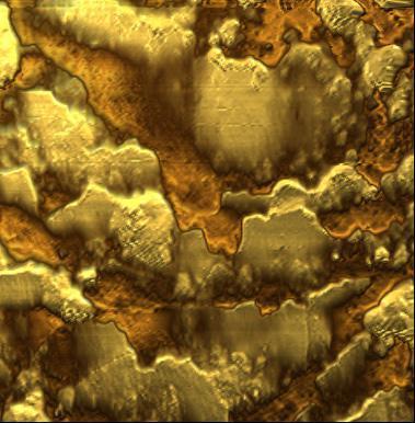 Dynamic mode AFM of human hair 