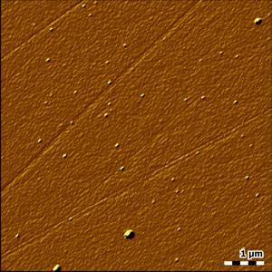 Dynamic mode AFM of polished sapphire