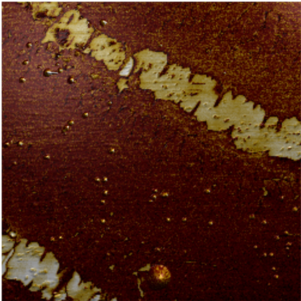 PFM amplitude on 2D ferroelectric CuInP2S6 on Si