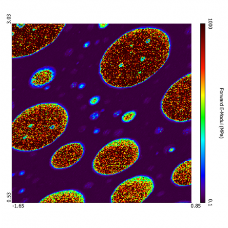 Force mapping on polymer blend (SBS-PS), Hertz model