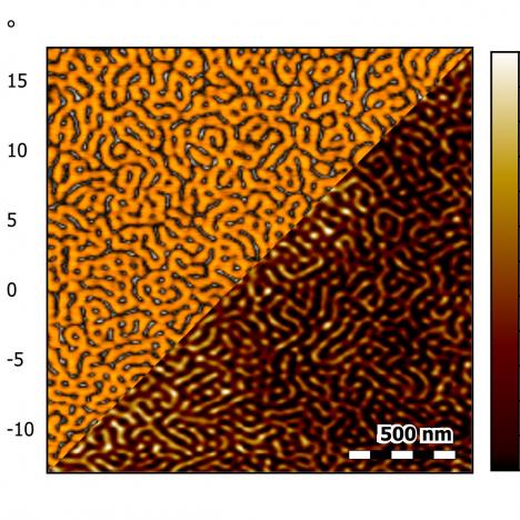 PS-Pb-PS triblock copolymer thin film on mica imaged at 20 Hz line rate